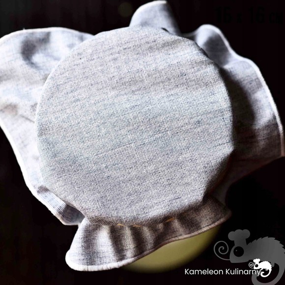 KAMELEON ŚCIERECZKA do kombucha grzybek tybetański algi