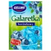 GALARETKA mocno owocowy smak BORÓWKI BORÓWKOWY BORÓWKA