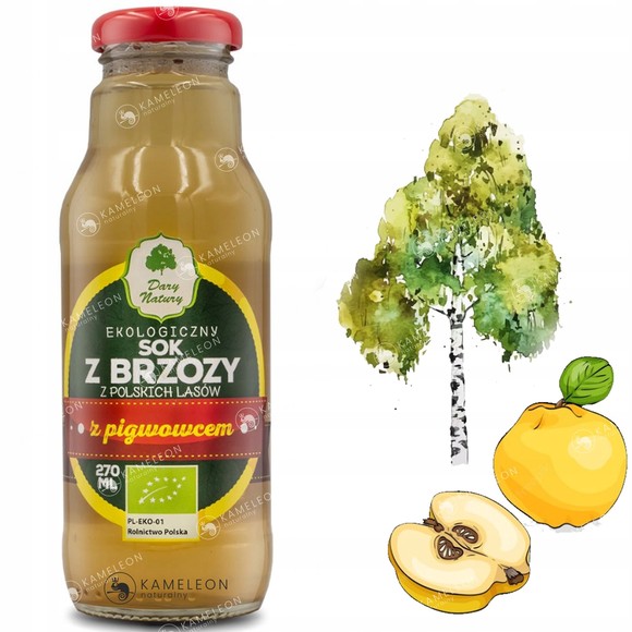 SOK Z BRZOZY Z PIGWOWCEM z polskich lasów BIO EKOlogiczny