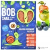 BOB SNAIL ROLLS BORÓWKA 30g przekąska owocowa