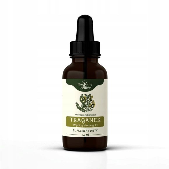 NANGA TRAGANEK Astragalus KORZEŃ WYCIĄG ZIOŁOWY 50ml
