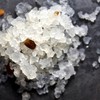 KAMELEON KULINARNY ALGI JAPOŃSKIE WODNE na kefir wodny