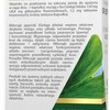 Medica Herbs MIŁORZĄB JAPOŃSKI GINGKO BILOBA 60kaps