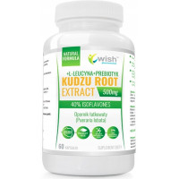 WISH KUDZU KORZEŃ 60 kapsułek wsparcie na UZALEŻNIENIA STRES ZMĘCZENIE WISH