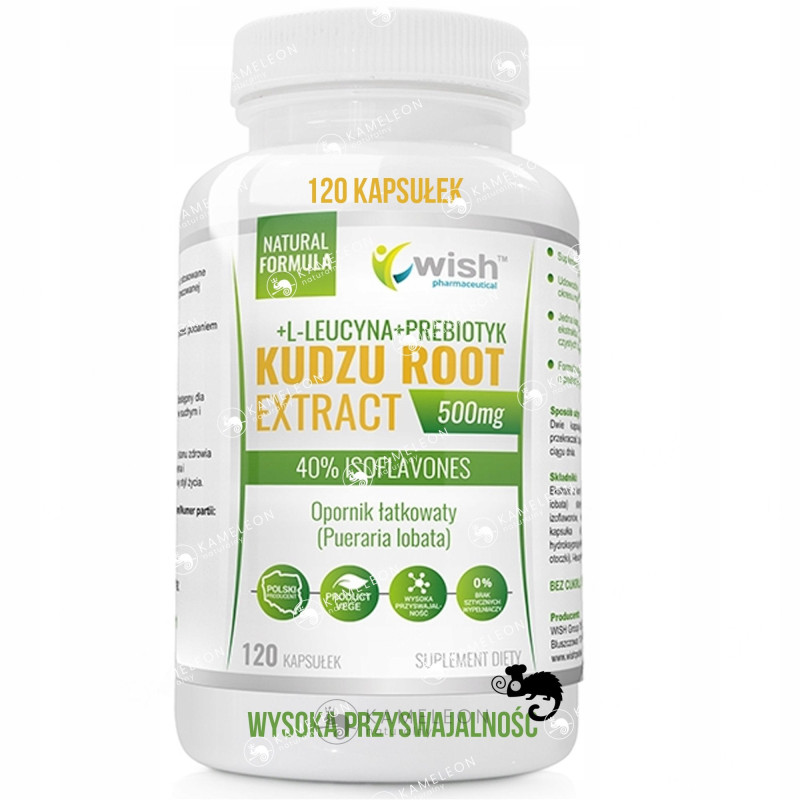 WISH KUDZU KORZEŃ aż 120 kaps wsparcie na UZALEŻNIENIA STRES ZMĘCZENIE WISH