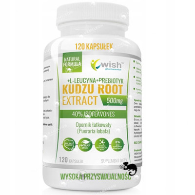 WISH KUDZU KORZEŃ aż 120 kaps wsparcie na UZALEŻNIENIA STRES ZMĘCZENIE WISH