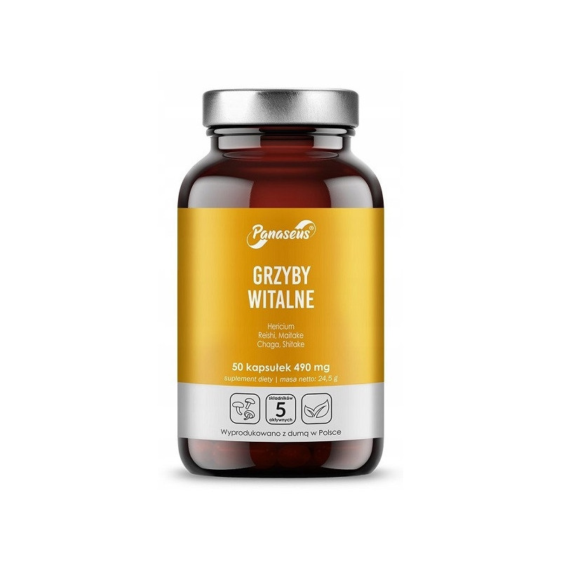 GRZYBY WITALNE 50 kapsułek PANASEUS Yango ODPORNOŚĆ CHAGA REISHI HERICIUM