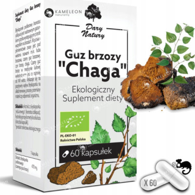 GUZ BRZOZY CHAGA EKOLOGICZNY eko suplement diety 60 kapsułek DARY NATURY