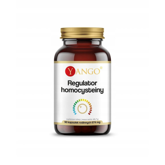 REGULATOR HOMOCYSTEINY 90kaps Betaina Dwuwinian choliny Wit B6 B9 B12 YANGO REGULATOR HOMOCYSTEINY 90kaps Betaina Dwuwinian choliny Wit B6 B9 B12 YANGO