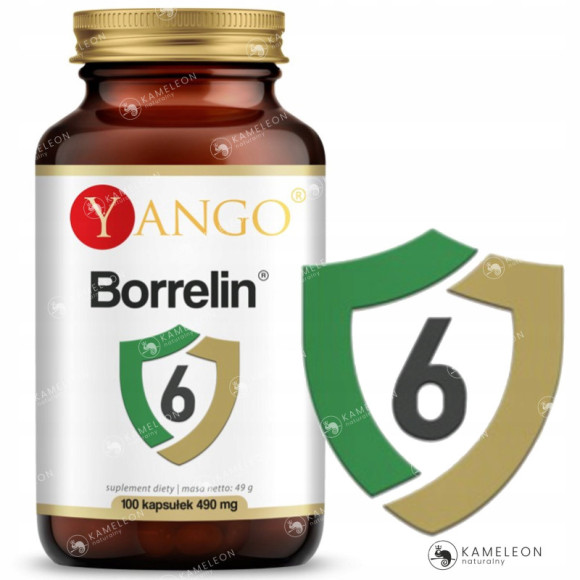 Yango BORRELIN 6 protokół BUHNERA NA BORELIOZĘ BORELIOZA 490mg 100kps Yango BORRELIN 6 protokół BUHNERA NA BORELIOZĘ BORELIOZA 490mg 100kps