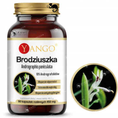 Yango BRODZIUSZKA Andrographis paniculata wsparcie: BORELIOZA ODPORNOŚĆ 90k