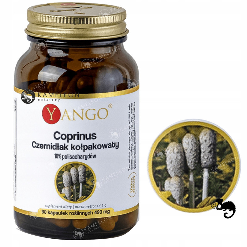 Yango COPRINUS czernidłak kołpakowaty 490mg 90kaps wsparcie: ODPORNOŚĆ