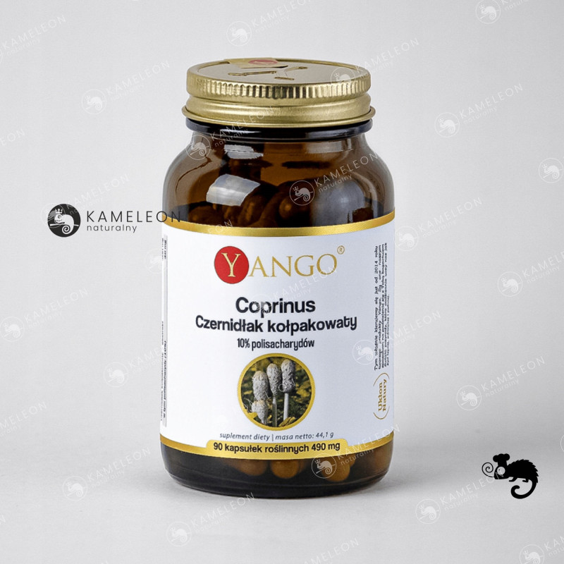 Yango COPRINUS czernidłak kołpakowaty 490mg 90kaps wsparcie: ODPORNOŚĆ