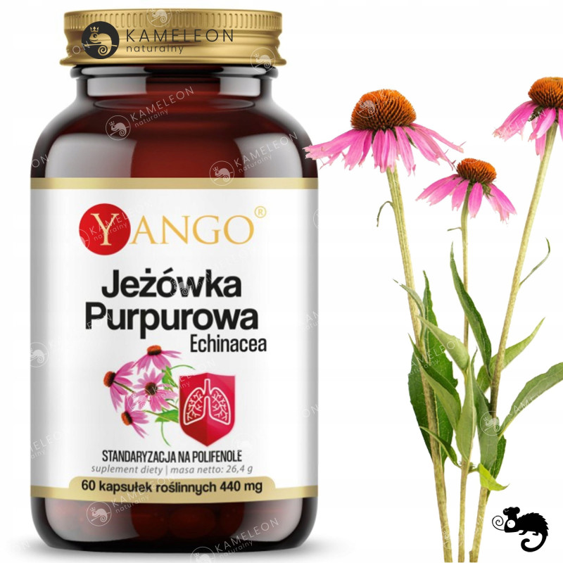 Yango JEŻÓWKA PURPUROWA ECHINACEA wsparcie: ODPORNOŚĆ U. ODDECHOWY 60kaps