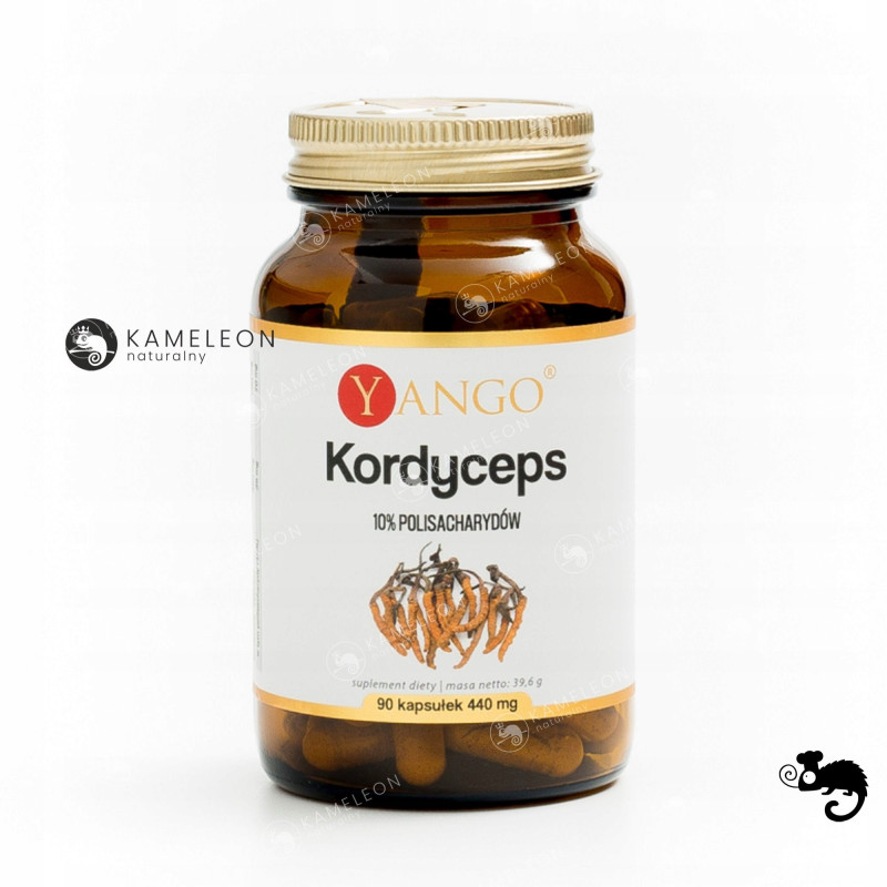 Yango KORDYCEPS EKSTRAKT grzyby funkcjonalne wsparcie: ODPORNOŚĆ 90kaps