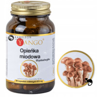 Yango OPIEŃKA MIODOWA 470mg ekstrakt 90kaps wsparcie: ODPORNOŚĆ MIKROFLORA