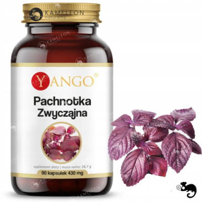 Yango PACHNOTKA ZWYCZAJNA 430mg ekstrakt wsparcie: ODPORNOŚĆ ALERGIA 90kps
