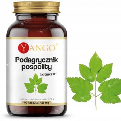 Yango PODAGRYCZNIK POSPOLITY EKSTRAKT 420mg wsparcie: TRAWIENIE 90kps 3 mce