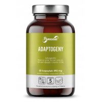 ADAPTOGENY 50 kapsułek PANASEUS Yango ASHWAGANDHA ŻEŃ-SZEŃ RÓŻENIEC GÓRSKI