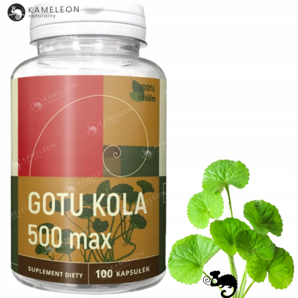 GOTU KOLA MAX 100k Wąkrotka Azjatycka NANGA wsparcie SEN STRES KONCENTRACJA GOTU KOLA MAX 100k Wąkrotka Azjatycka NANGA wsparcie SEN STRES KONCENTRACJA