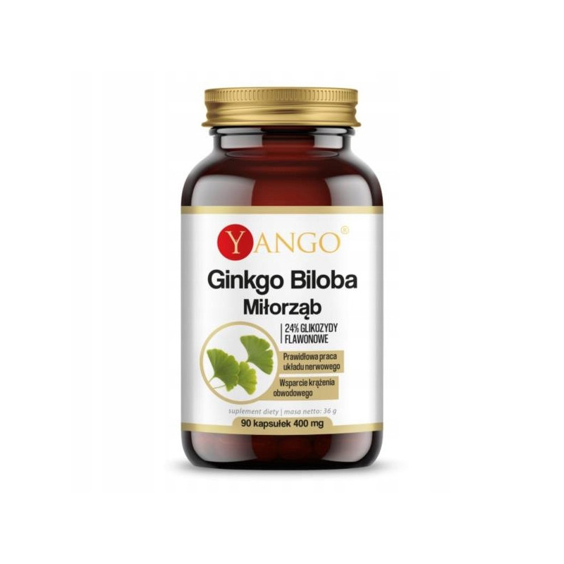 Yango GINKGO BILOBA 90kaps. MIŁORZĄB sprawność umysłowa PAMIĘĆ