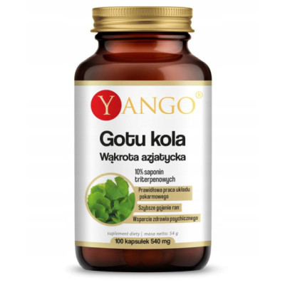 Yango GOTU KOLA 100kaps. Wąkrota Azjatycka PRAWIDŁOWA PRACA MÓZGU SERCA