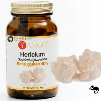 Yango HERICIUM SOPLÓWKA JEŻOWATA beta glukan 40%