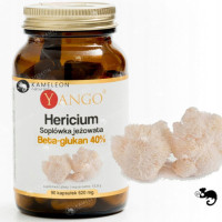 Yango HERICIUM SOPLÓWKA JEŻOWATA beta glukan 40%