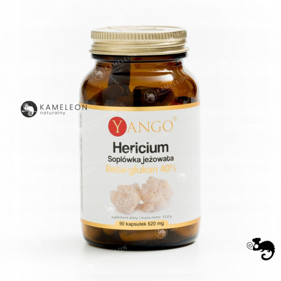 Yango HERICIUM SOPLÓWKA JEŻOWATA beta glukan 40% Yango HERICIUM SOPLÓWKA JEŻOWATA beta glukan 40%