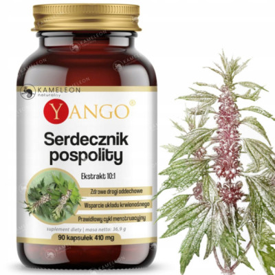 Yango SERDECZNIK POSPOLITY wsparcie: SERCE CIŚNIENIE KRWI U. KRĄŻENIA 90kps