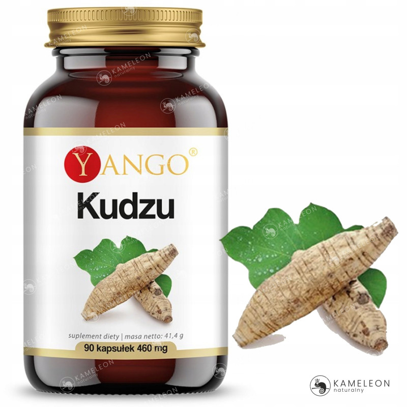 KUDZU KORZEŃ wsparcie: NAŁOGI UZALEŻNIENIA U. KRWIONOŚNY NERWOWY 90k YANGO