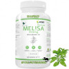 MELISA 350mg LIŚCIE EKSTRAKT 90 kaps - WISH wsparcie ZDROWY SEN USPOKOJENIE