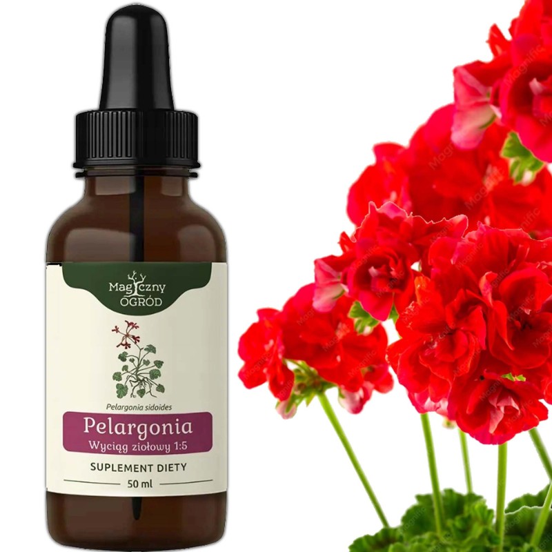 Nanga PELARGONIA AFRYKAŃSKA 50ml wsparcie ODPORNOŚĆ UKŁAD