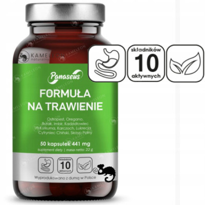 Panaseus FORMUŁA NA TRAWIENIE Ostropest Oregano Imbir Kurkuma Karczoch 50ks