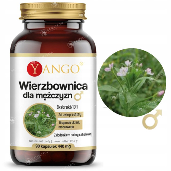 WIERZBOWNICA dla MĘŻCZYZN PALMA SABAŁOWA wsparcie: U.MOCZOWY PROSTATA 90kps WIERZBOWNICA dla MĘŻCZYZN PALMA SABAŁOWA wsparcie: U.MOCZOWY PROSTATA 90kps