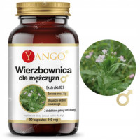 WIERZBOWNICA dla MĘŻCZYZN PALMA SABAŁOWA wsparcie: U.MOCZOWY PROSTATA 90kps