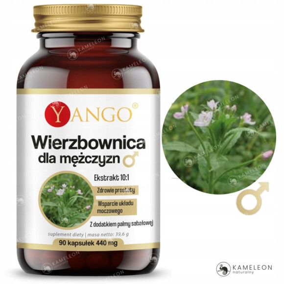 WIERZBOWNICA dla MĘŻCZYZN PALMA SABAŁOWA wsparcie: U.MOCZOWY PROSTATA 90kps WIERZBOWNICA dla MĘŻCZYZN PALMA SABAŁOWA wsparcie: U.MOCZOWY PROSTATA 90kps
