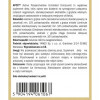 Yango APCC grzyby REISHI SHITAKE CHAGA KORDYCEPS 100kps wsparcie: ODPORNOŚĆ