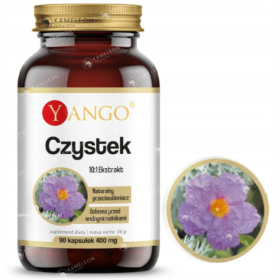 Yango CZYSTEK 400mg ekstrakt wsparcie: ODPORNOŚĆ WZMOCNIENIE 90kaps