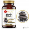 Yango MUMIO SHILAJIT 40% KWASÓW FULWOWYCH wsparcie: ODPORNOŚC MŁODOSĆ 90kps