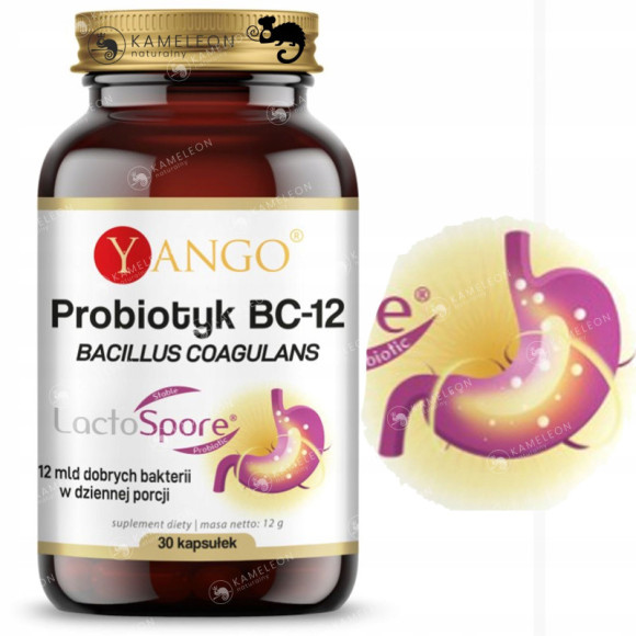 Yango PROBIOTYK BC-12 Bakterie Bacillus Coagulans 30ks wsparcie: MIKROFLORA Yango PROBIOTYK BC-12 Bakterie Bacillus Coagulans 30ks wsparcie: MIKROFLORA