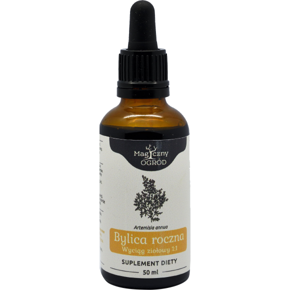 NANGA BYLICA ROCZNA ARTEMISIA WYCIĄG 1:1 50ml wsparcie