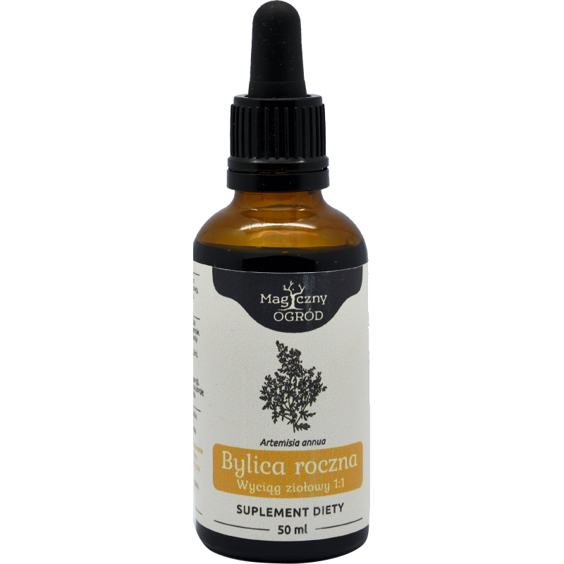NANGA BYLICA ROCZNA ARTEMISIA WYCIĄG 1:1 50ml wsparcie