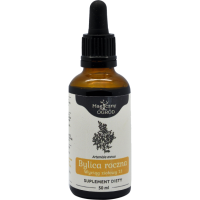NANGA BYLICA ROCZNA ARTEMISIA WYCIĄG 1:1 50ml wsparcie