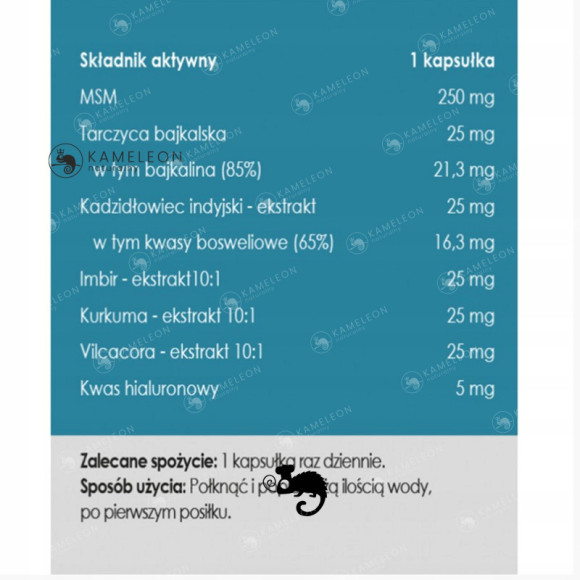 Yango Panaseus FORMUŁA NA STAWY MSM Bajkalina Vilcacora Kwas Hialuronow 50k Yango Panaseus FORMUŁA NA STAWY MSM Bajkalina Vilcacora Kwas Hialuronow 50k