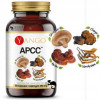 Yango APCC grzyby funkcjonalne REISHI SHITAKE CHAGA KORDYCEPS 50 kapsułek