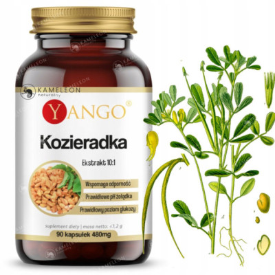 Yango KOZIERADKA 480mg wsparcie: TRAWIENIE CHOLESTEROL CUKRZYCA 90 kaps