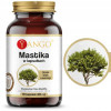 MASTIKA 480mg wsparcie na HELICOBACTER PYLORI WRZODY ŻOŁĄDKA 60kaps YANGO