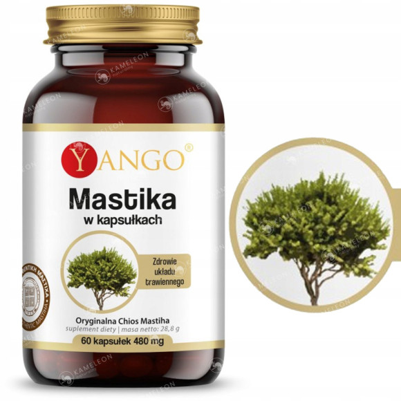 MASTIKA 480mg wsparcie na HELICOBACTER PYLORI WRZODY ŻOŁĄDKA 60kaps YANGO MASTIKA 480mg wsparcie na HELICOBACTER PYLORI WRZODY ŻOŁĄDKA 60kaps YANGO