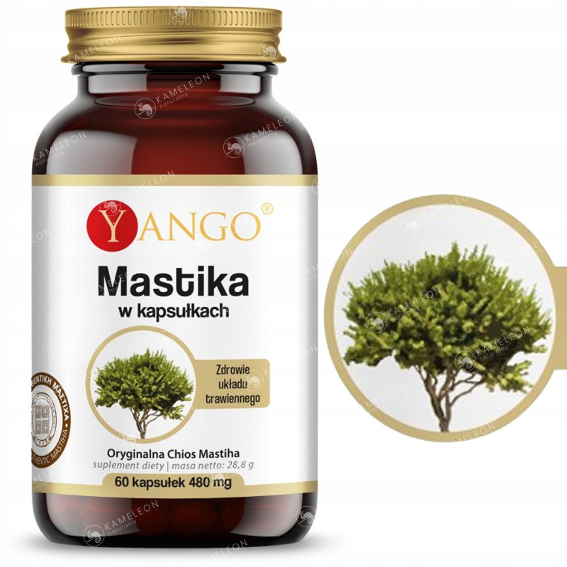 MASTIKA 480mg wsparcie na HELICOBACTER PYLORI WRZODY ŻOŁĄDKA 60kaps YANGO